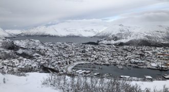 IMG_10598