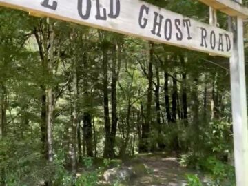 IMG_4274 – frame00