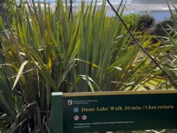 IMG_4756 – frame at 0m4s