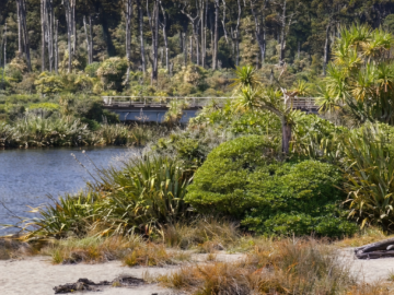 IMG_4757 – frame02-poprawiony