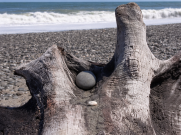 IMG_4761 – frame01-poprawiony