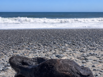 IMG_4761 – frame02-poprawiony