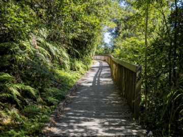 nz-20240223_frame007