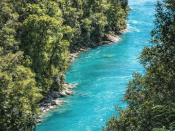 nz-20240223_frame014