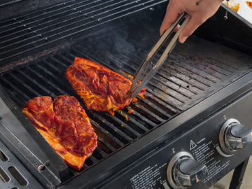 nz-20240223_frame021