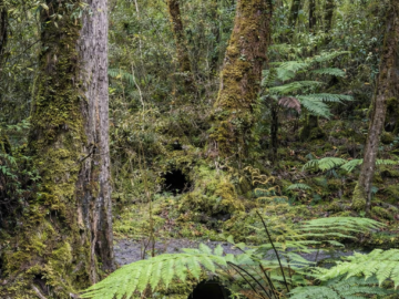 IMG_4674 – frame01-poprawiony