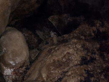 nzt-pnakaki-cavern-012