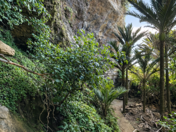 nzt-pnakaki-cavern-016