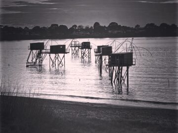 113A5D85-261A-43AE-BE36-852709264322