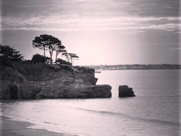 1EE45E97-F8DC-4E88-A26E-BEB352DD240C