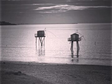 D4801745-699D-4610-AB98-B0049F3B6C15